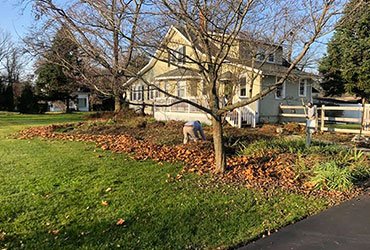 Spring/Fall Clean Up