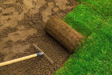 Sod Installation